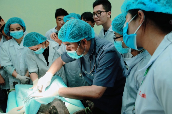 Đội ngũ chuyên gia bác sĩ, dược sĩ tại Bệnh viện Thú y có trình độ chuyên môn cao, giàu kinh nghiệm, được đào tạo bài bản từ nhiều quốc gia trên thế giới