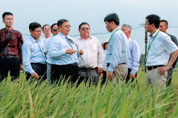 The Myanmar delegation visit the Institute of Crops Research and Development