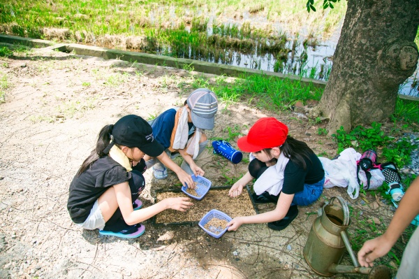 Học sinh trường Nhật Bản Hà Nội trải nghiệm kỹ thuật làm mạ khay