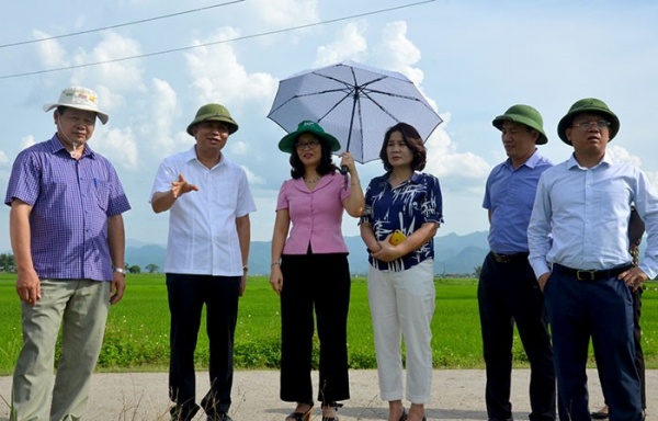 GS.TS. Nguyễn Thị Lan, Bí thư Đảng ủy, Giám đốc Học viện Nông nghiệp Việt Nam cùng đoàn công tác thăm mô hình cánh đồng 1 giống tại xã Thanh Xương (huyện Ðiện Biên)