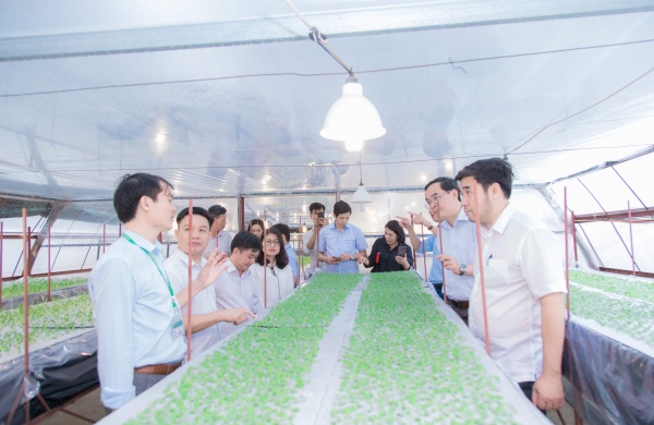 Đoàn cán bộ Sở Nông nghiệp và Phát triển nông thôn tỉnh Tuyên Quang tham quan mô hình khí canh tại Viện Sinh học nông nghiệp