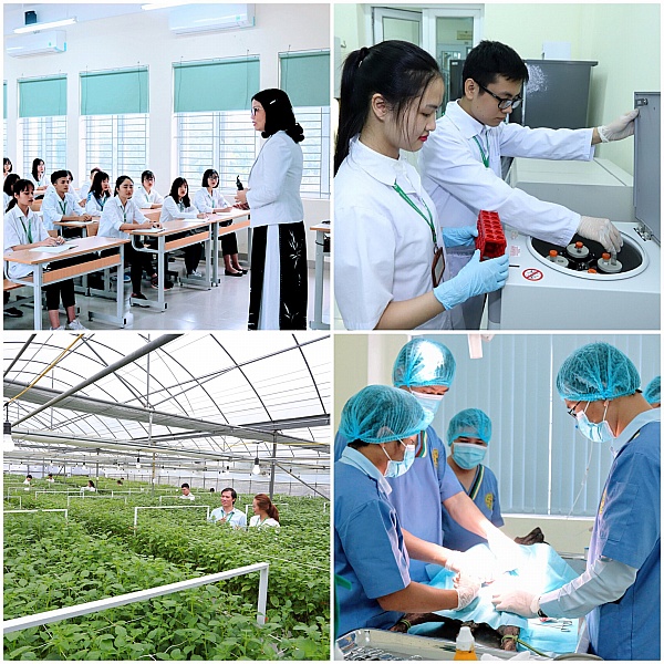 Học viện Nông nghiệp Việt Nam – Trường đại học đào tạo đa ngành